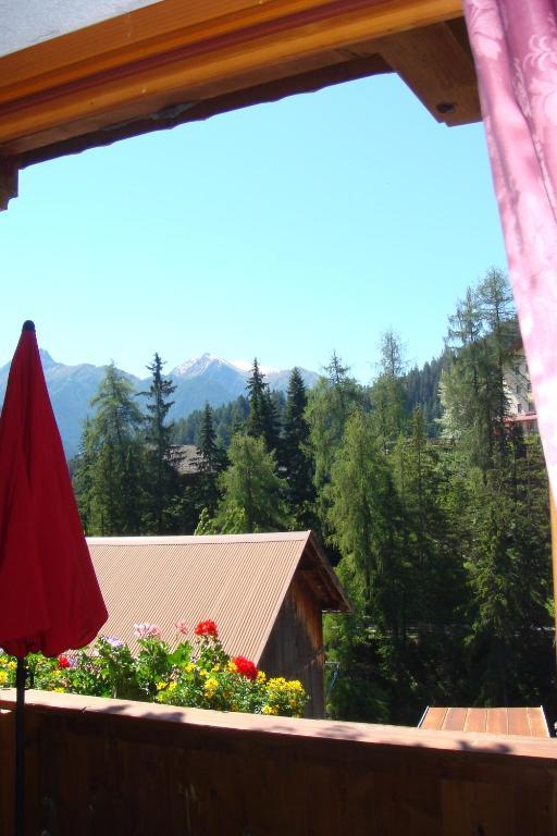 Pension Alpenrose Зерфаус Номер фото